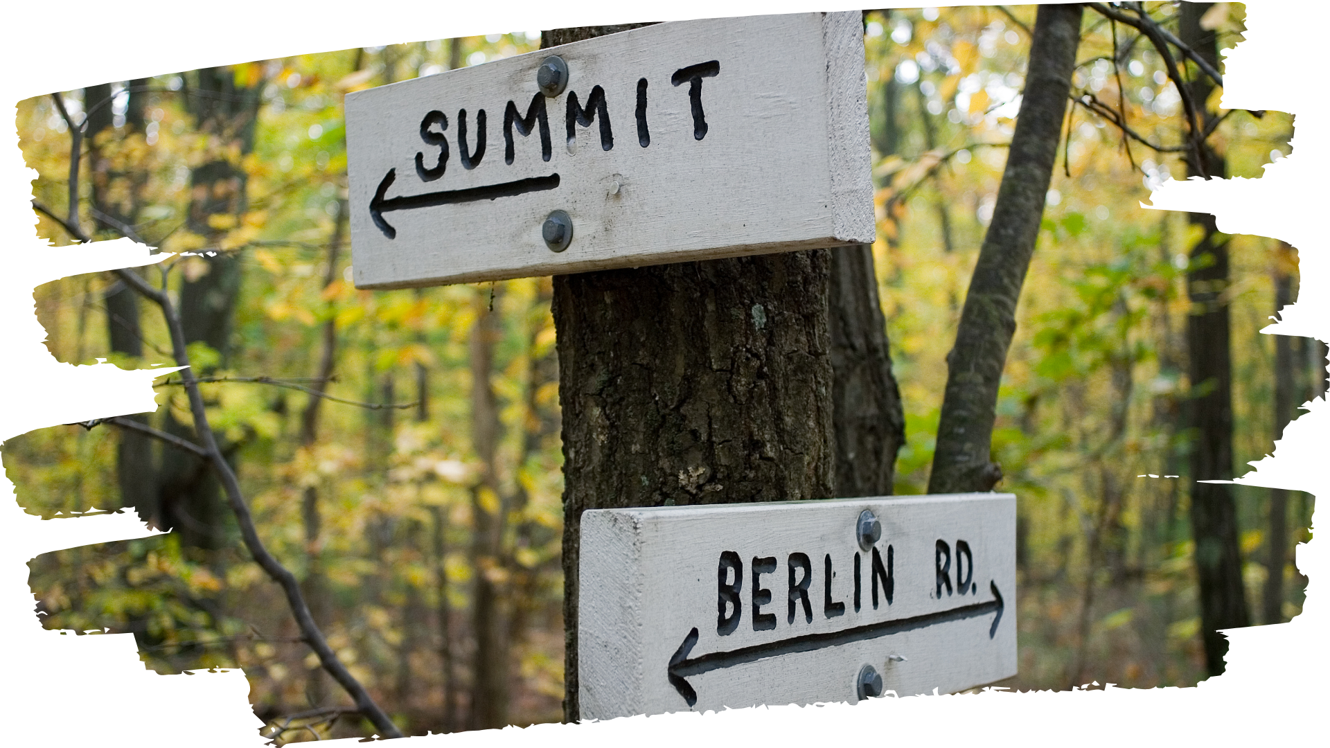 Photo of a tree with handmade trail markers attached to it. Once says "Summit" and points to the left of a trail and the other says "Berlin Rd." and points to the main trail.