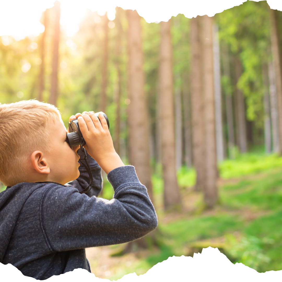 Boy with binoculars looking at trees